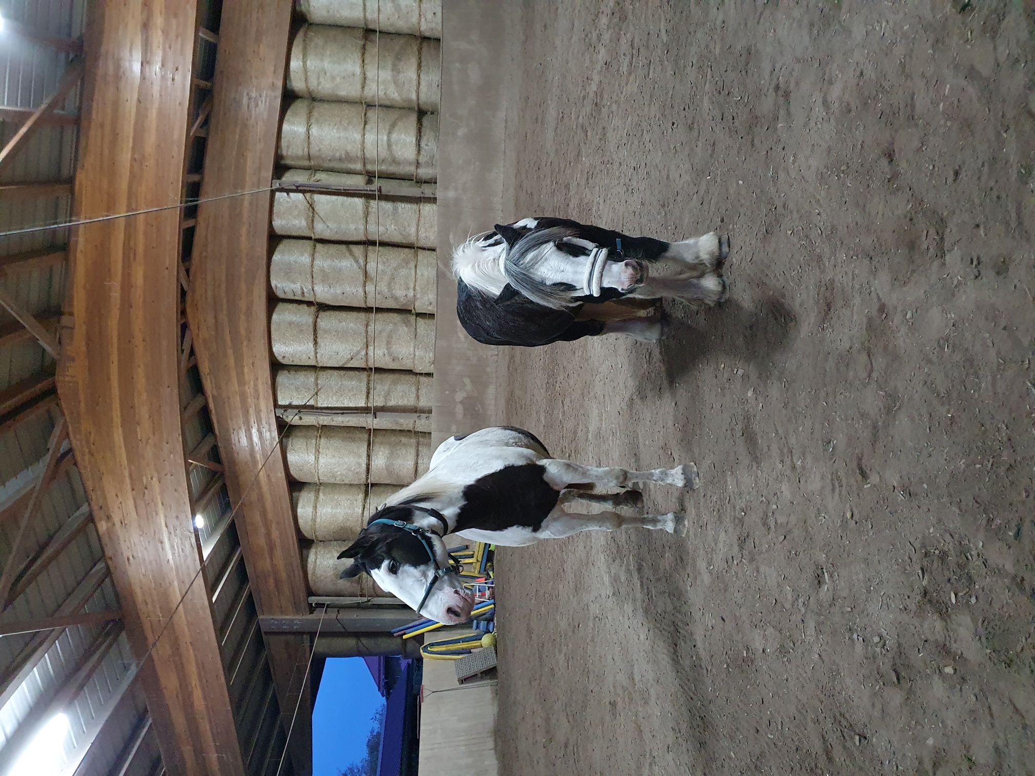 2023 11 November 573